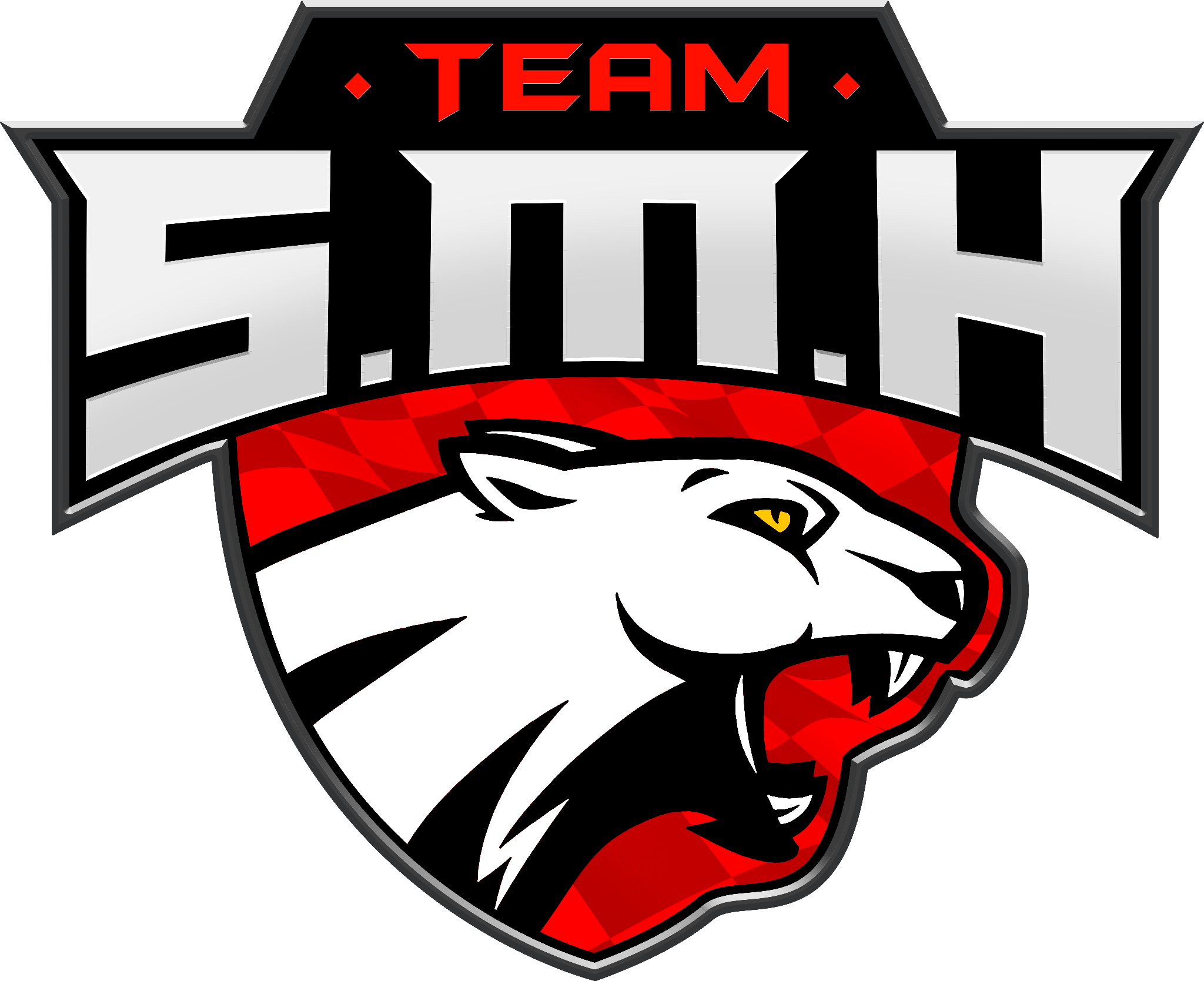 Team SMH